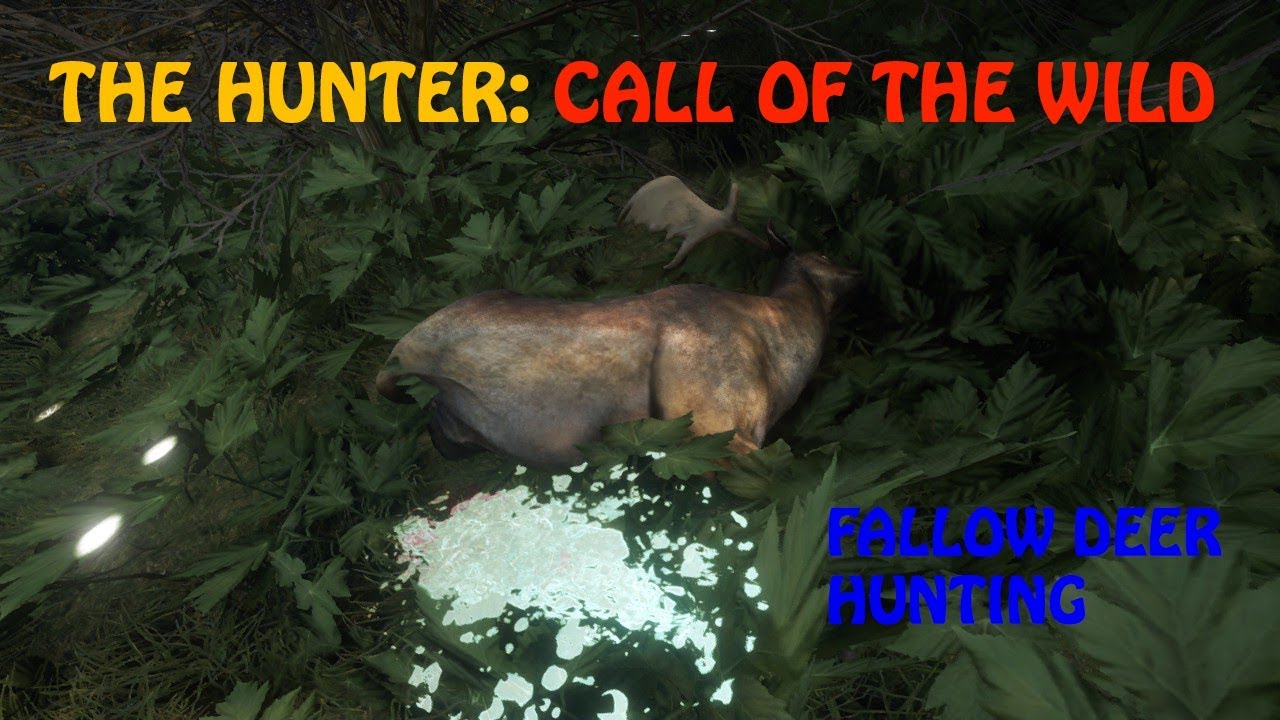 The Hunter Call of the wild Fallow Deer hunting YouTube