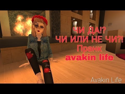 Пранк Чи Да?!