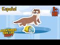 Aventura bajo el hielo [episodios completos] Aventuras con los Kratt