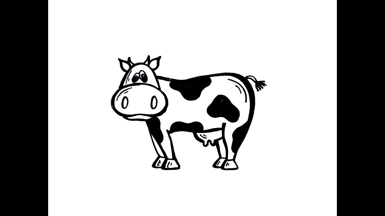 Drawing Lesson: How to Draw a Cow - YouTube