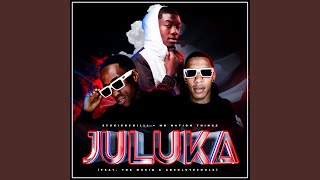 Juluka (feat. Mr Nation Thingz, TNK MusiQ & Absolutesoulx)