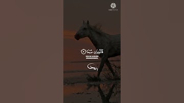تلاوة من سورة العاديات || عبد الرحمن مسعد