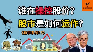 【新手系列15】股市是如何运作? 到底谁在操控股价? 如何判断一家公司是否有投资价值? IPO融资的具体过程讲解! | 美股分析