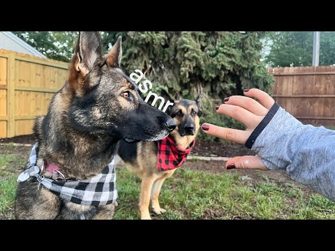 Outdoors ASMR tapping & scratching tour