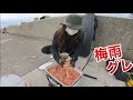 初心者でも釣れる仕掛けでフカセ釣りしてみた【波止グレ メジナ】