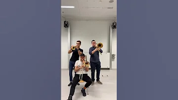 "Brass Mood" Trio 🎺 #southbrass #brass.blasmusik