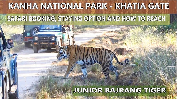 Kanha National Park Guide Accommodation, 2024