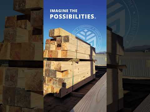 YOU WILL WANT THIS Sabiepoles Cca Intentional Quality