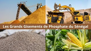 La Ruée Vers Le Phosphate De Matam Lor Blanc Du Sénégal