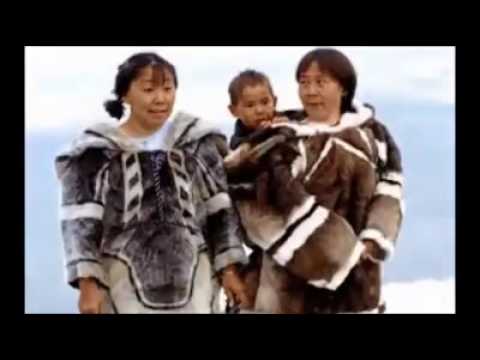 ყინულეთი და მისი ბინადარნი