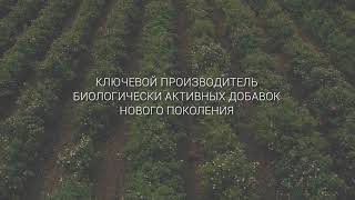 Компания ПАРАФАРМ – ключевой производитель биологически активных добавок - Видео от Парафарм, ООО, г. Пенза