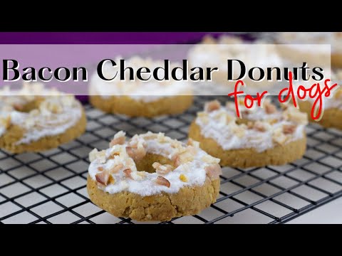 HOMEMADE DOG FOOD & TREATS | Bacon Cheddar Donuts???????????? | WHISKOPETS KITCHEN ????