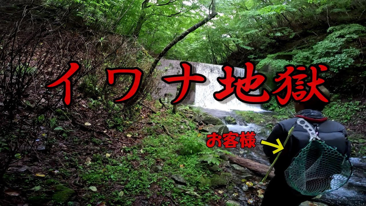 ビッグゲストをイワナ地獄に連れて行きました【木下進次郎】【Jackson】