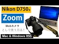 【Webcam Utility】Nikonの一眼レフをWebカメラ化してzoomで使う方法  【D750・Windows/Macユーザー】