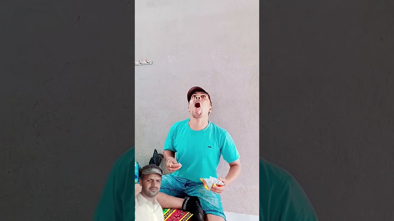  Funny Cat Comedy Pets Animals Stitchtricks Catvideos Stitchboutique Comedyfilms