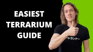 A Beginners Guide To Making A Terrarium