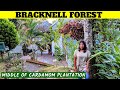 MUNNAR RESORT | Bracknell Forest Munnar | Tamil Travel Vlog