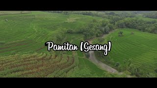 pamitan (gesang) by siho, cover video