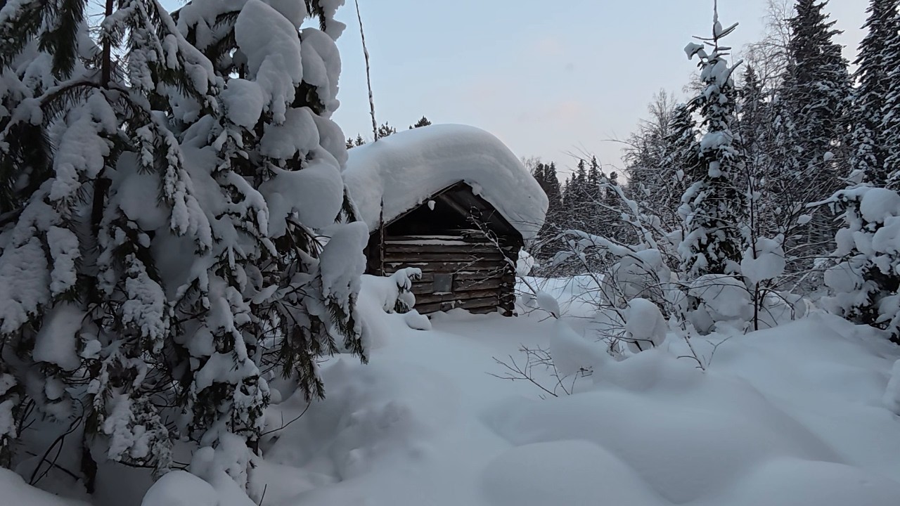 Изба на реке. Проверка путиков. Дневники ушедшего охотника.