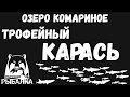 Раздача трофейного карася. Фарм серебра для новичков. Озеро Комариное. Русская рыбалка 4.