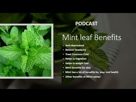 Mint leaf Benefits 