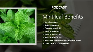 Mint leaves - Health Benefits, Uses and Important Facts - PotsandPans India