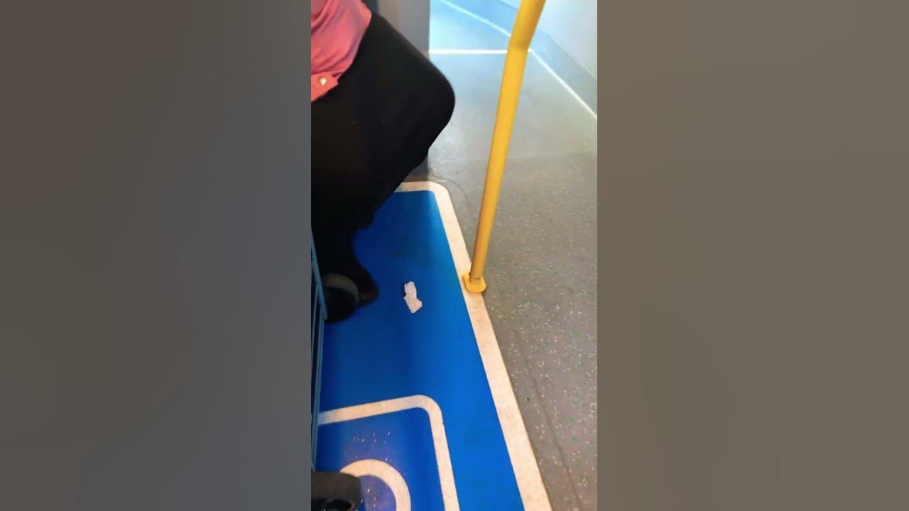 15a bus YouTube