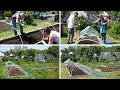 Vlog 98 - Our Allotment Adventures - Nailed It!