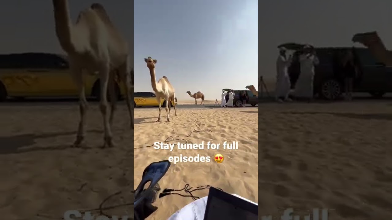 Kralow Trading Show, the first trading reality show in the world!