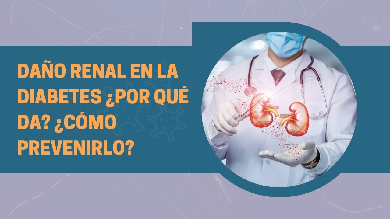 ¿Por qué la diabetes daña el riñón? - YouTube