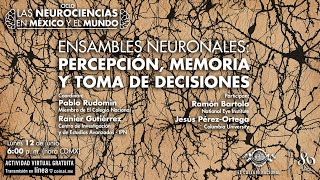 Ensambles neuronales: percepción, memoria y toma de decisiones