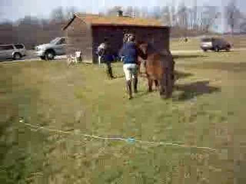 us-goofing-around-the-barn-:d