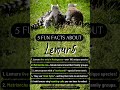 5 Fun Facts About Lemurs | Amazing Wildlife #Lemurs #Wildlife #AnimalFacts #Bearbunk