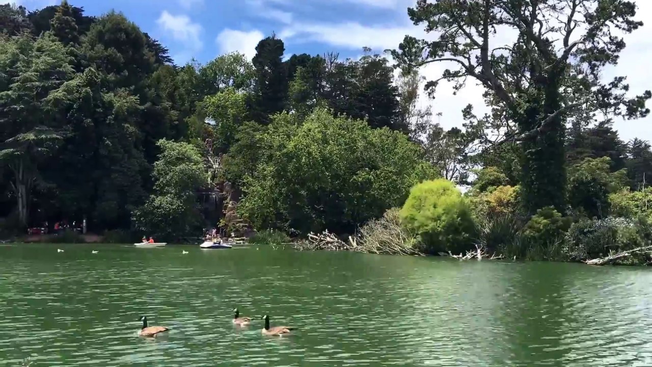 Stow Lake San Francisco YouTube