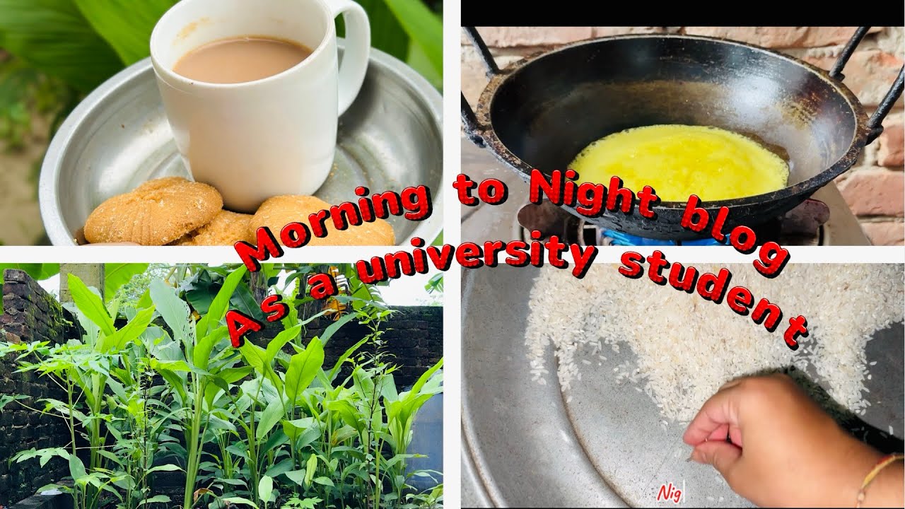 The aesthetic blog as a university student 👩‍🎓/village lifestyle/productive homebody blog/study blog