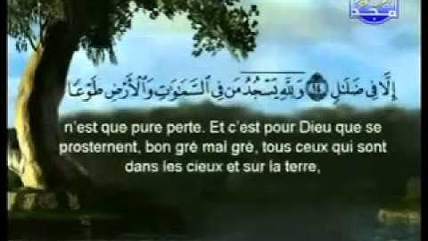 الشيخ احمد فراج / سورة الرعد