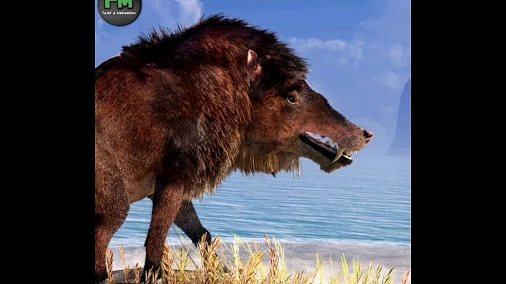 This Is Not A Pig But Some Other Animal | Random Facts | #shorts #trending