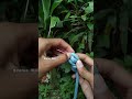 Simple Knot trick #knot #rope #a #diy #handmade #camping #outdoor #tutorial