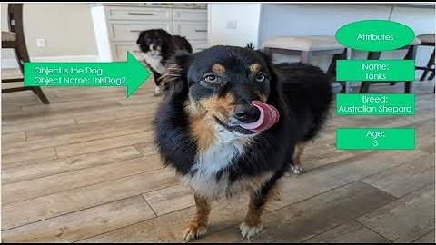 Object Oriented Programming Basics Objects and Attributes