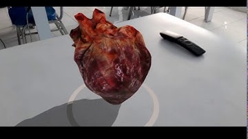 Making Augmented Reality with ARCore