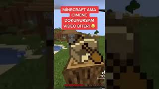 Minecraft Ama Çimene Dokunursam Video Biter