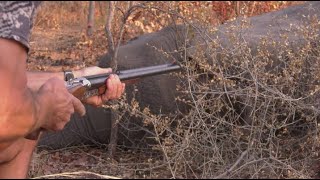 This Is Africa S5 Ep13: Saving The Dangerous Game