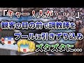 【ゆっくり解説】なぜ彼は3人もの人を襲ってしまったのか?ティリクムの悲しい物語