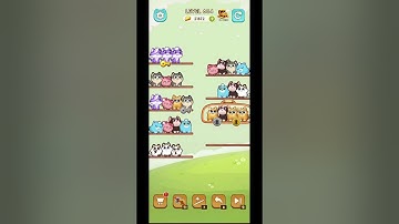 Cat Sort 681~685 #puzzle_daddy