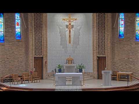 Sunday Mass - 11 AM - 08/17/2025