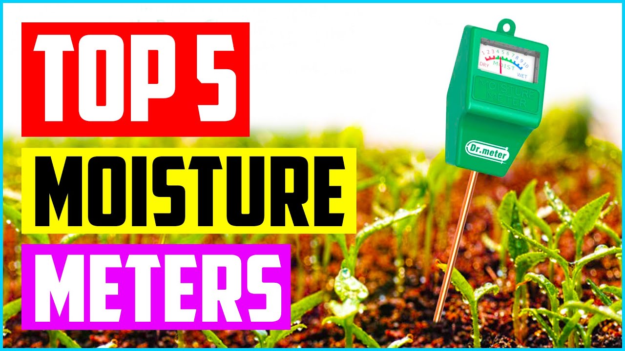 Top 5 Best Soil Moisture Meters — 2020 Products Review