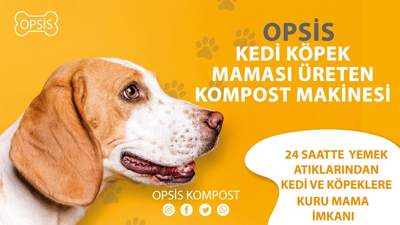 Opsis Kedi Ve Kopek Mamasi Yapma Makinesi Can Dostlarimiz Ac Kalmasin Diye Youtube