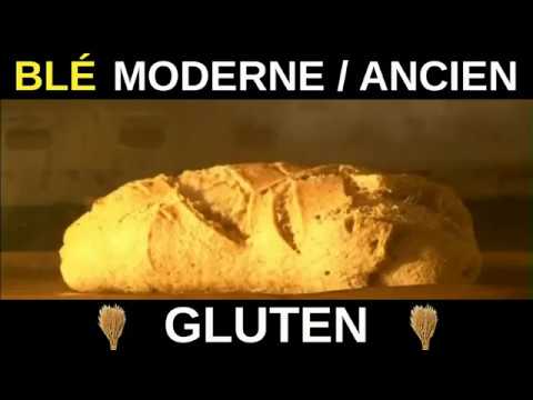 Blé moderne, blés anciens - Observatoire des aliments