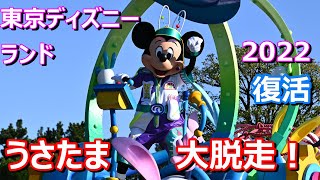 Tdl Disney Easter Usatama On The Run 22 Youtube Tdl Disney Easter Usatama On The Run 22 Youtube