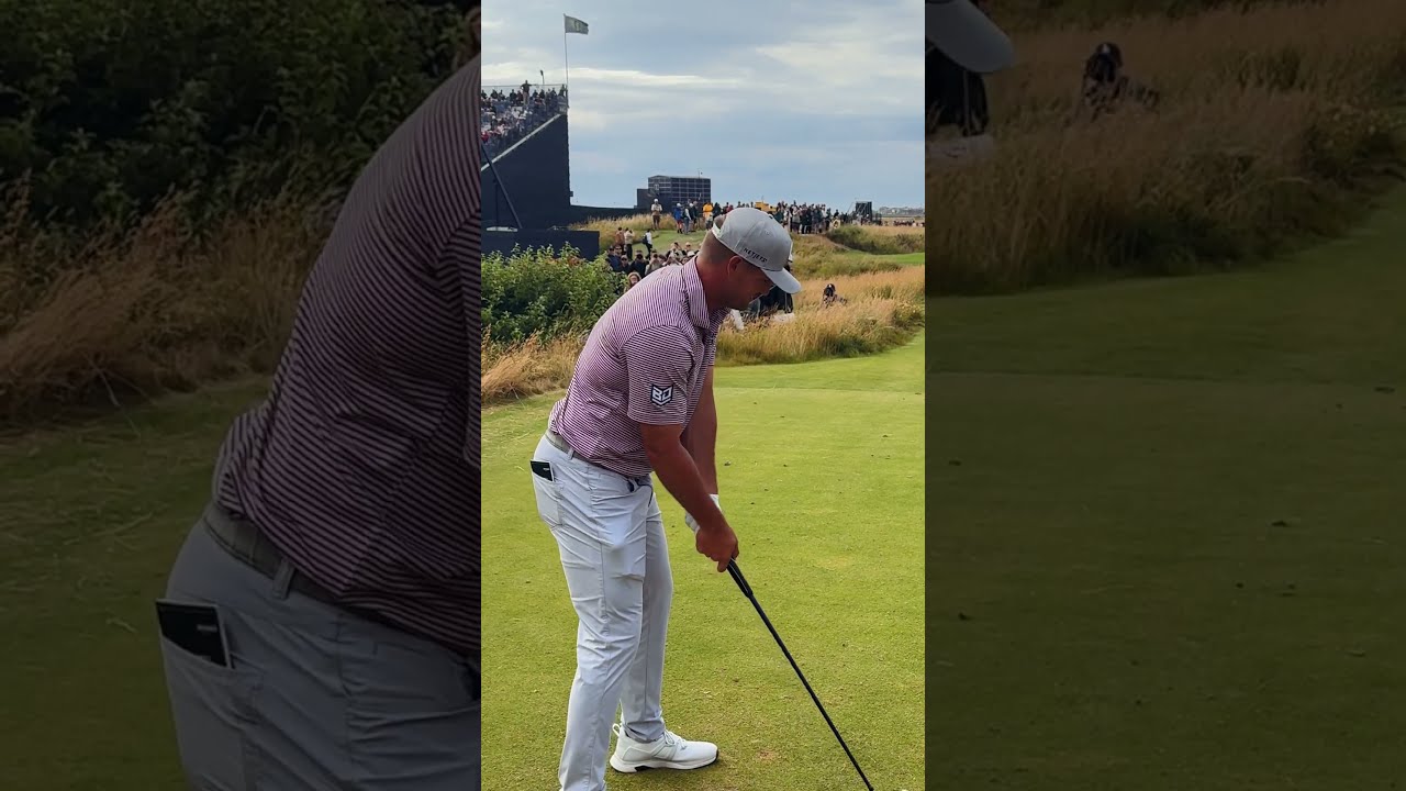 Damn You People This Is Golf 